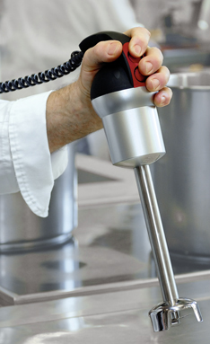 Kisag Stick Blender Stab Mixer 20 cm