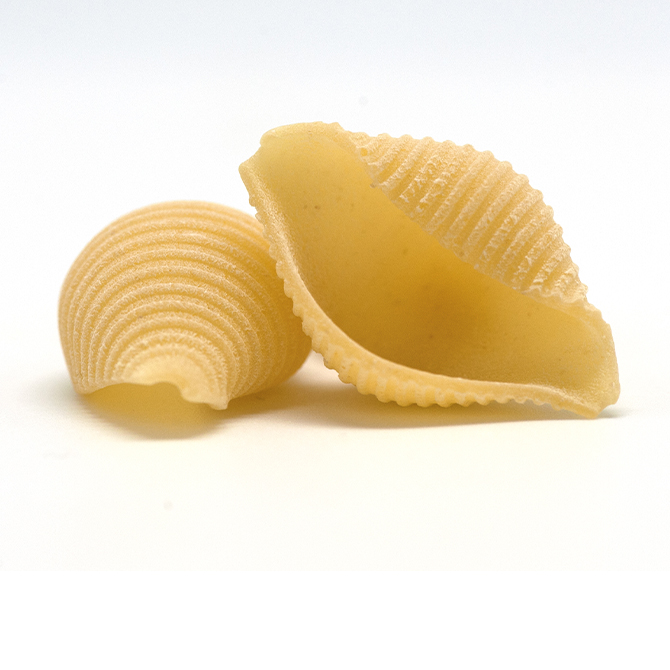 No 172 Conchiglie Rigate