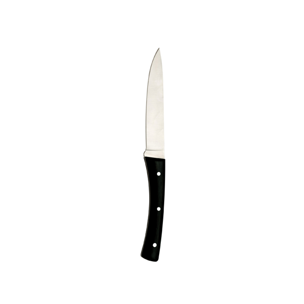 [ABECAN55] Angus steak knife, riveted St.steel+POM 